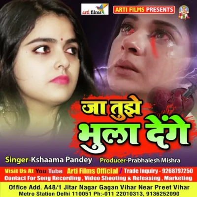 Ja tujhe bhula denge Song By Ja tujhe bhula denge Poster