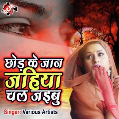 Chhodi Ke Jan Jahiya Chal Jaibu Song By Chhodi Ke Jan Jahiya Chal Jaibu Poster