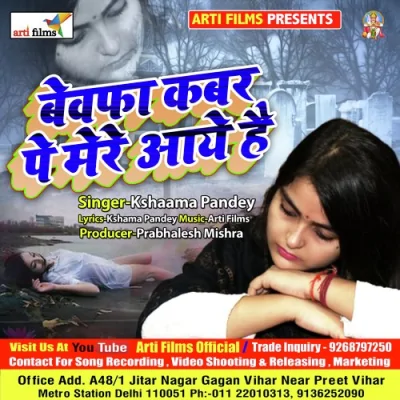 Bewafa kabar par meri aaye hai Song By Bewafa kabar par meri aaye hai Poster