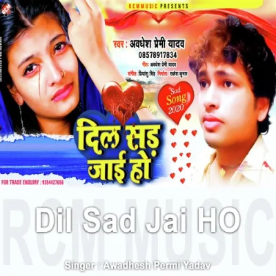 Dil Sad Jai Ho Song By Dil Sad Jai Ho Poster
