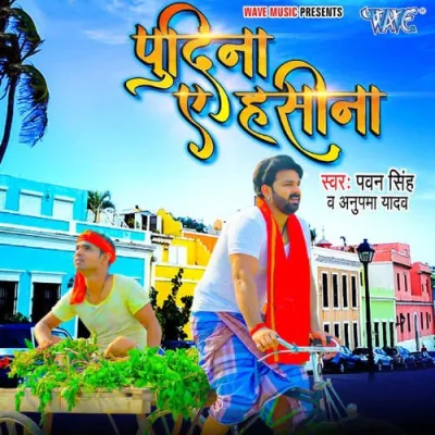 Pudina Ae Haseena Song By Pudina Ae Haseena Poster