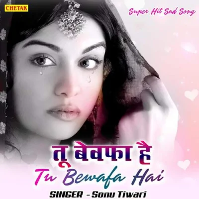 Tu Bewafa Hai Song By Tu Bewafa Hai Poster