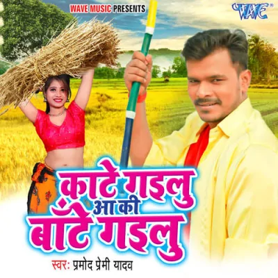 Kaate Gailu Aa Ki Baate Gailu Song By Kaate Gailu Aa Ki Baate Gailu Poster
