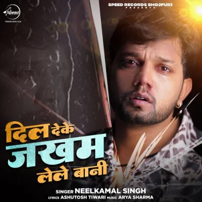 Dil Deke Jakham Lele Bani Song By Dil Deke Jakham Lele Bani Poster