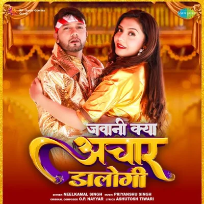 Jawani Kya Achaar Dalogi Song By Jawani Kya Achaar Dalogi Poster