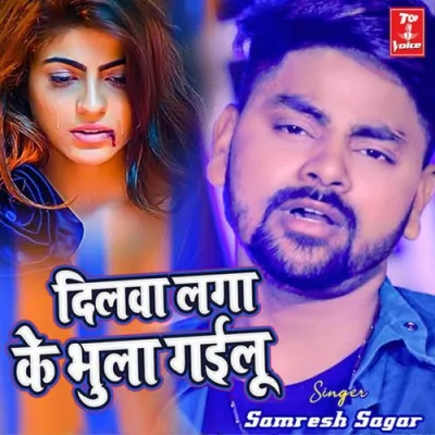Dilawa Laga Ke Bhula Gailu Song By Dilawa Laga Ke Bhula Gailu Poster