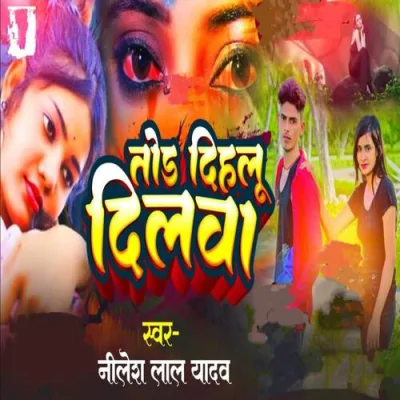 Tor Dihlu Dilwa Song By Tor Dihlu Dilwa Poster