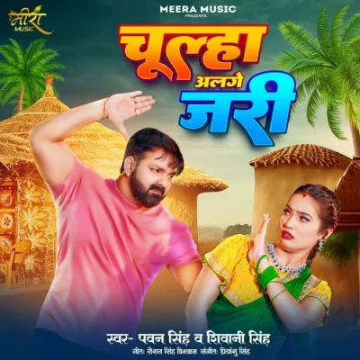 Chulha Alage Jari Song By Chulha Alage Jari Poster