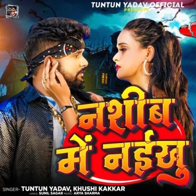 Nashib Me Naikhu Song By Nashib Me Naikhu Poster