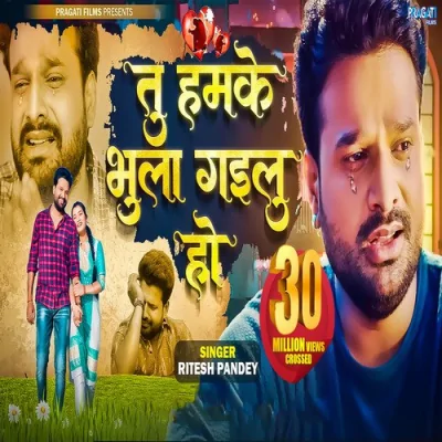 Tu hamke bhula gailu ho Song By Tu hamke bhula gailu ho Poster