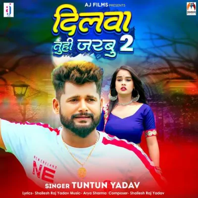 Dilwa Tuhi Jarbu 2 Song By Dilwa Tuhi Jarbu 2 Poster