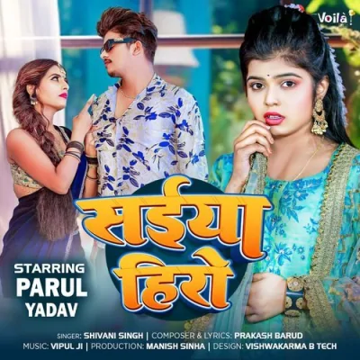 Saiyya Hero Song By Saiyya Hero Poster