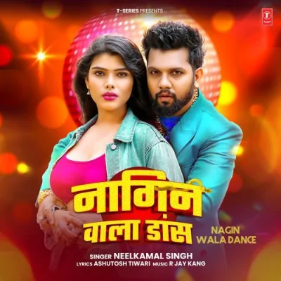 Nagin Wala Dance Song By Nagin Wala Dance Poster