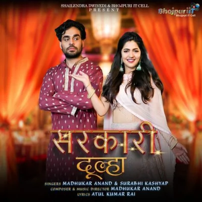 Sarkari Dulha Song By Sarkari Dulha Poster