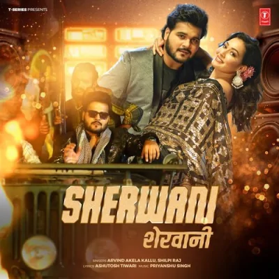 Sherwani Song By Sherwani Poster