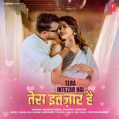 Tera Intezar Hai Song By Tera Intezar Hai Poster