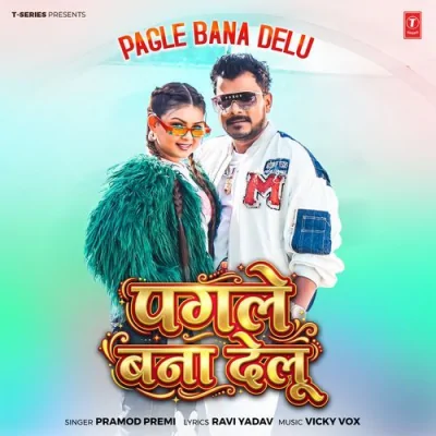 Pagle Bana Delu Song By Pagle Bana Delu Poster