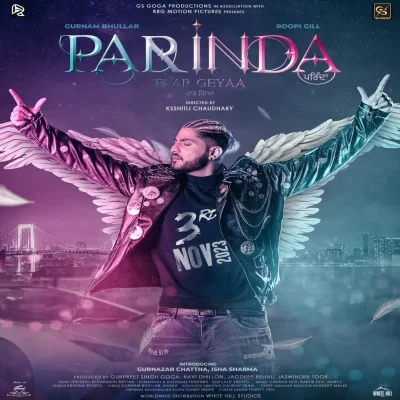 Parinda Paar Geyaa (Movie) Mp3 Songs Download