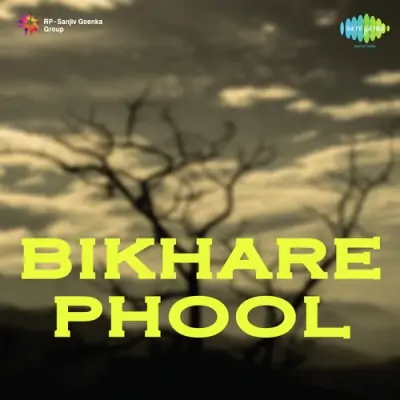 Bikhare Phool Mp3 Songs Download