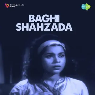 Baghi Shahzada Mp3 Songs Download