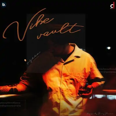 Vibe Vault (Vseer) Mp3 Songs Download