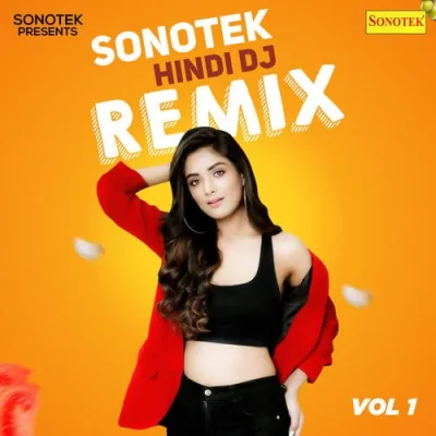 Sonotek Hindi DJ Remix Vol 1 Mp3 Songs Download