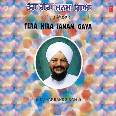 Tera Heera Janam Gaya Vol 35 Mp3 Songs Download