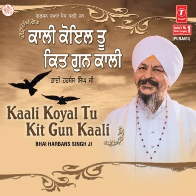 Kaali Koyal Tu Kit Gun Kaali Mp3 Songs Download